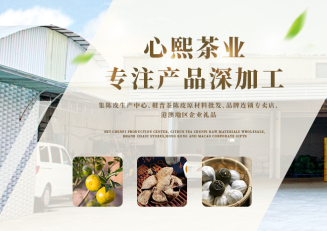 新會能看片的网址